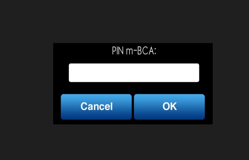 pin m bca