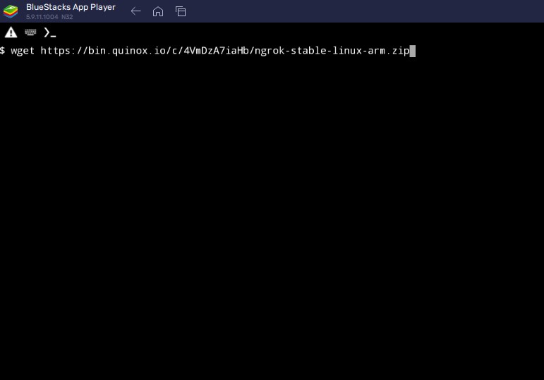 wget ngrok